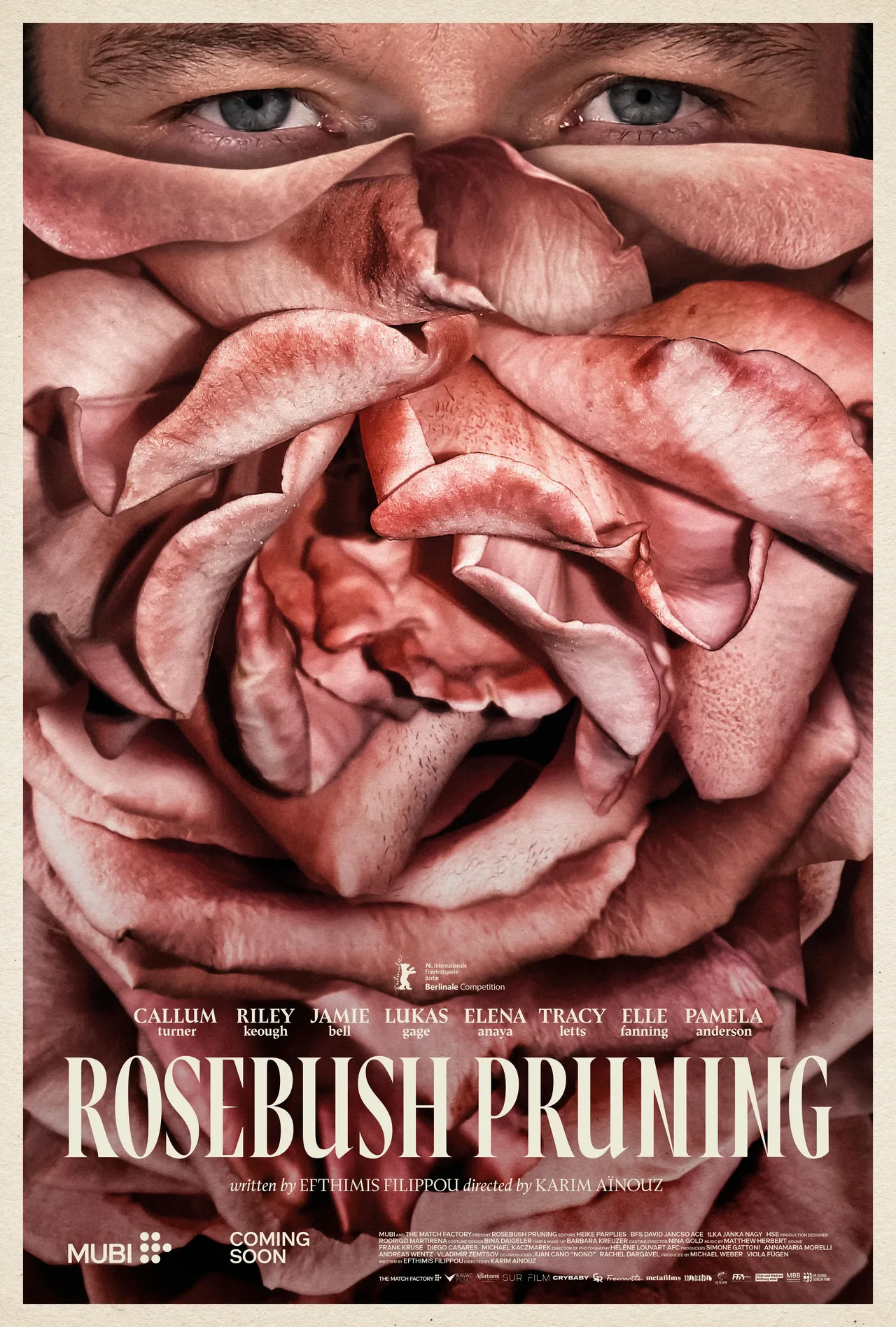 پوستر Rosebush Pruning