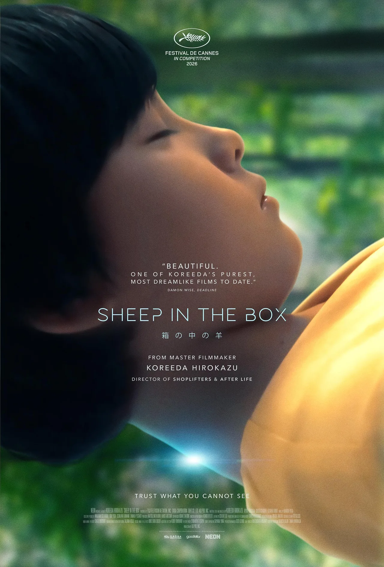 پوستر Sheep in the Box
