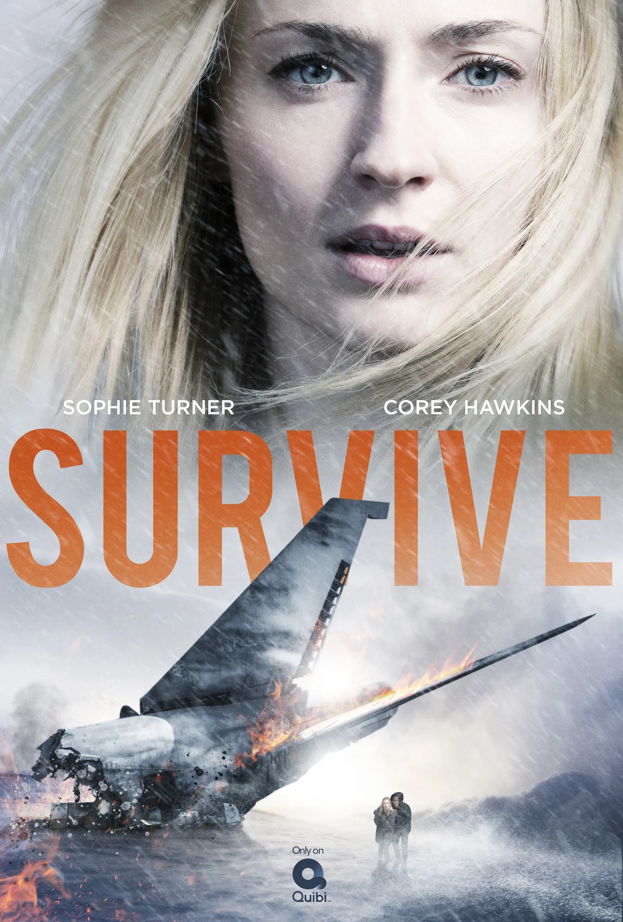 پوستر Survive