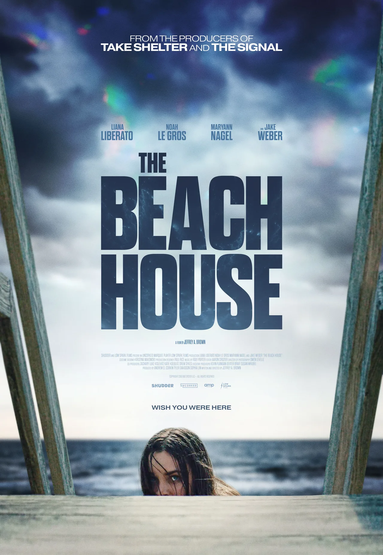 پوستر The Beach House