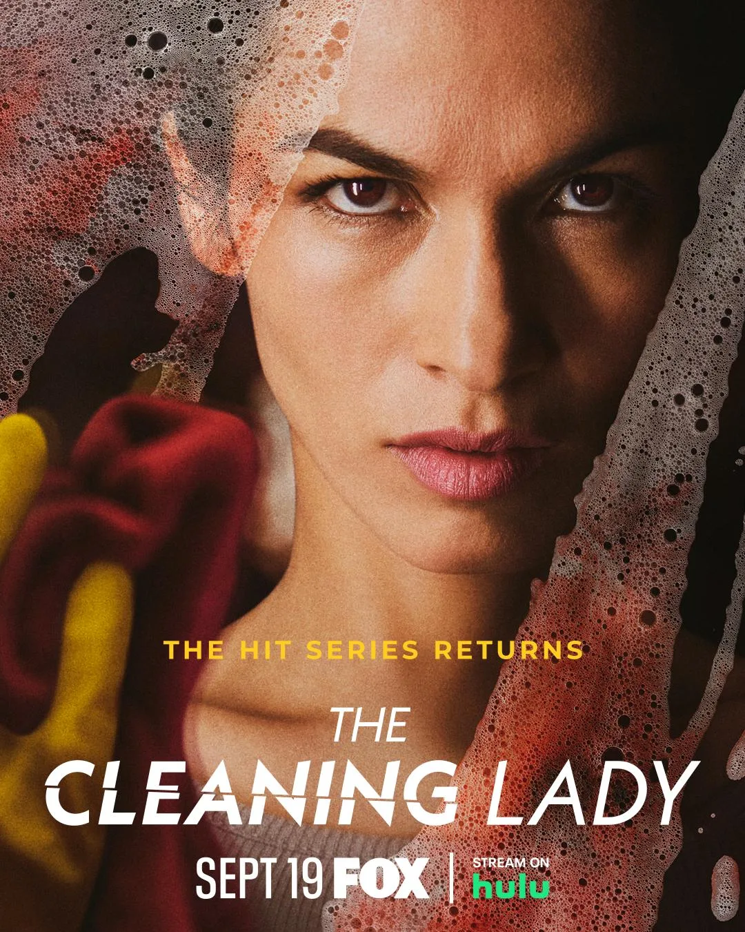 پوستر The Cleaning Lady
