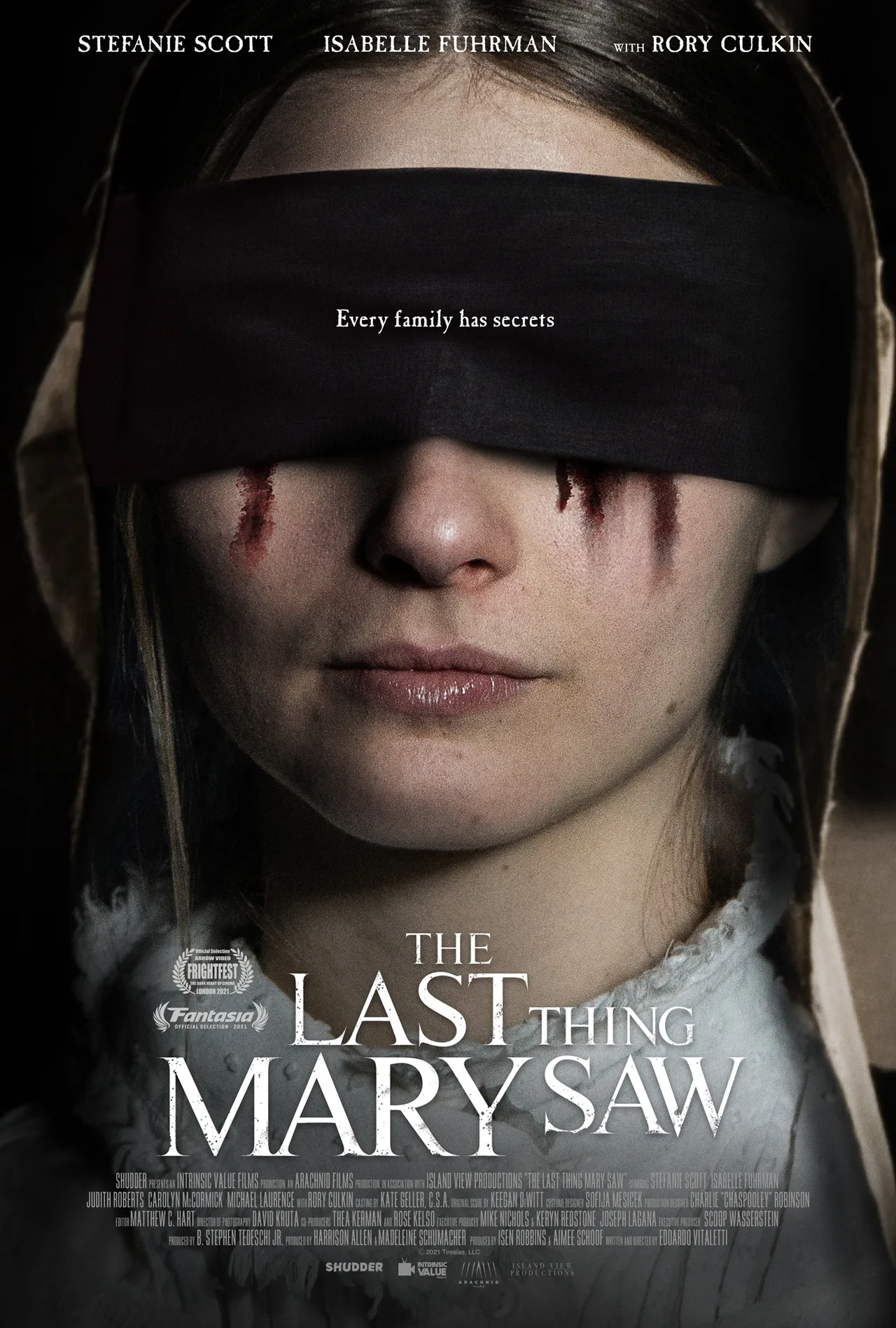 پوستر The Last Thing Mary Saw