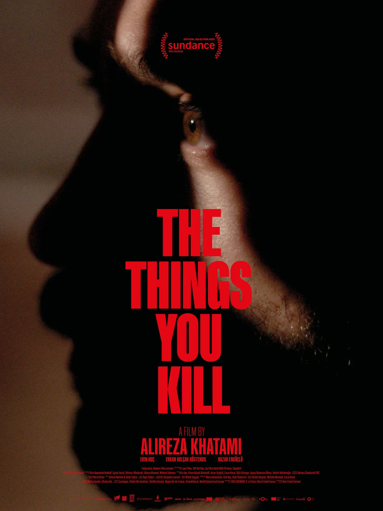 پوستر The Things You Kill