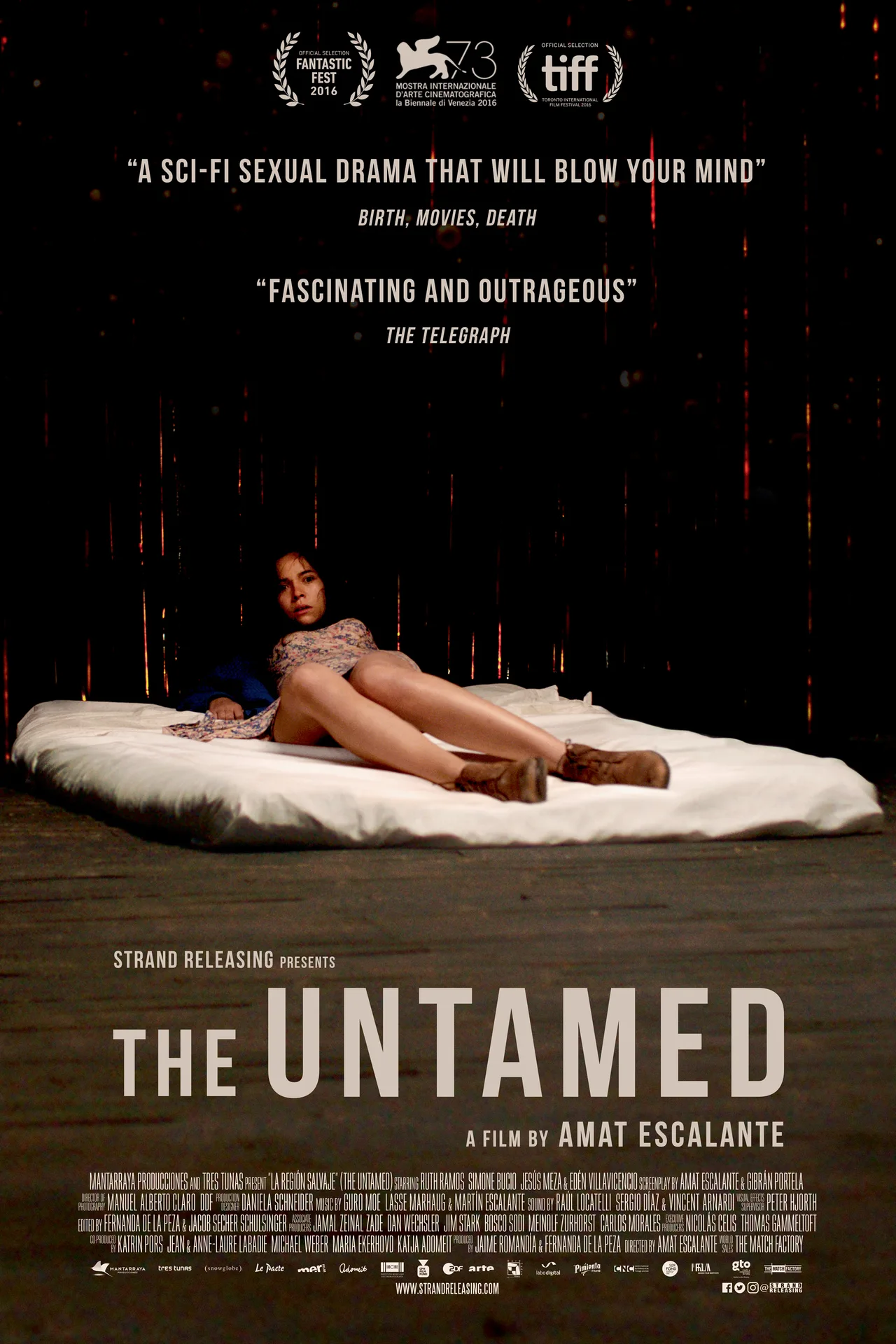 پوستر The Untamed