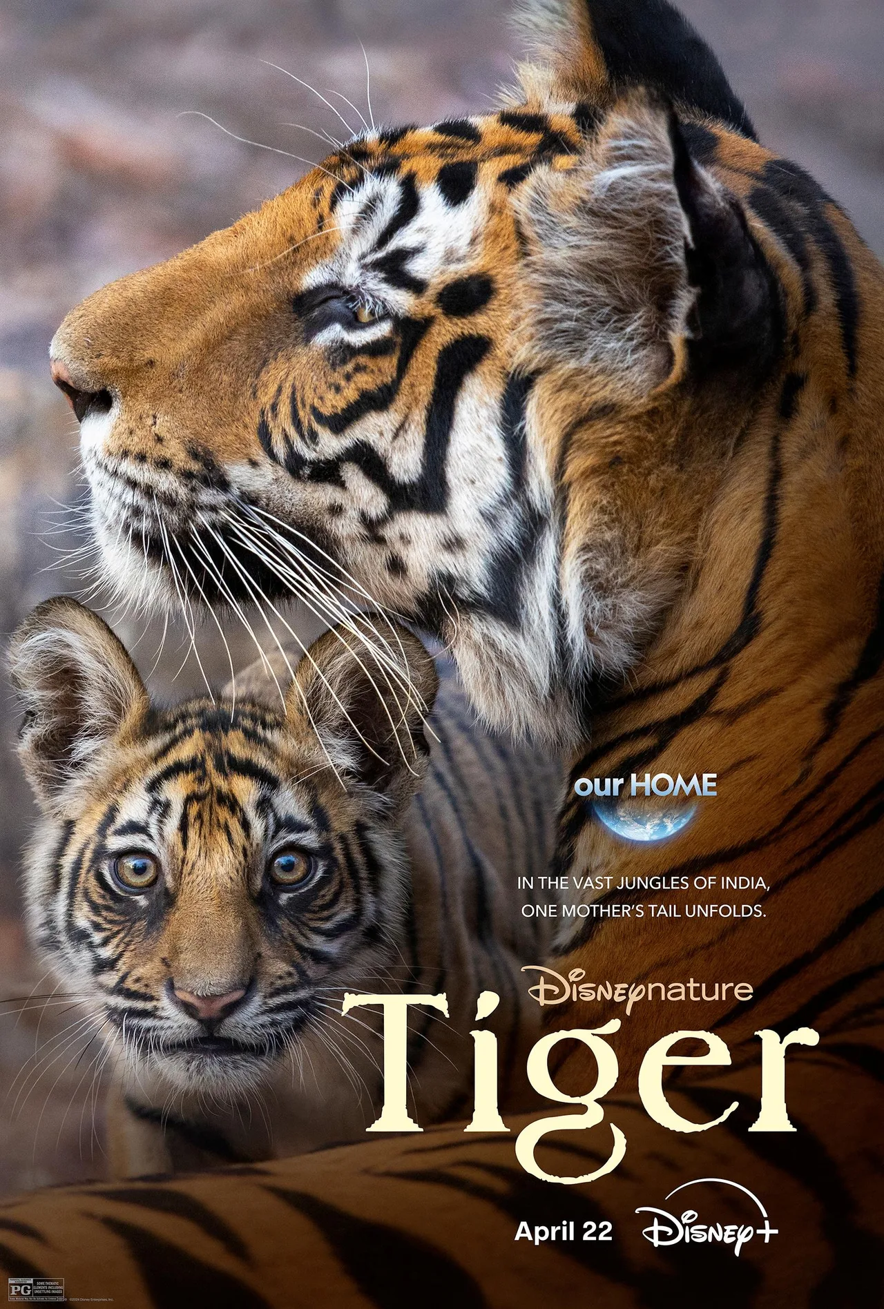 پوستر Tiger