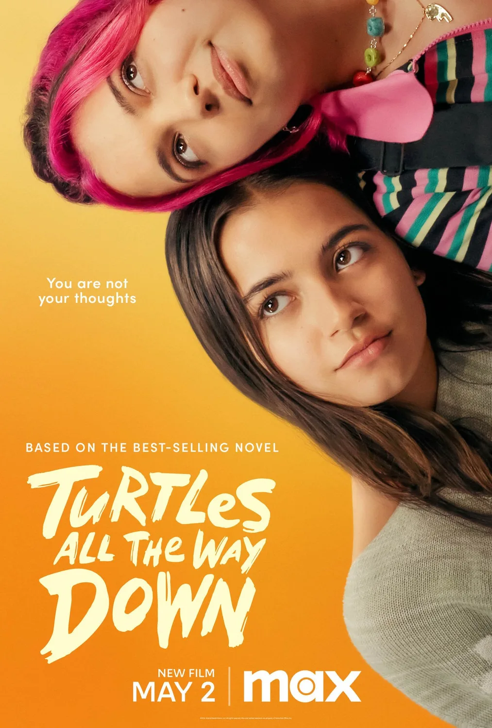 پوستر Turtles All the Way Down