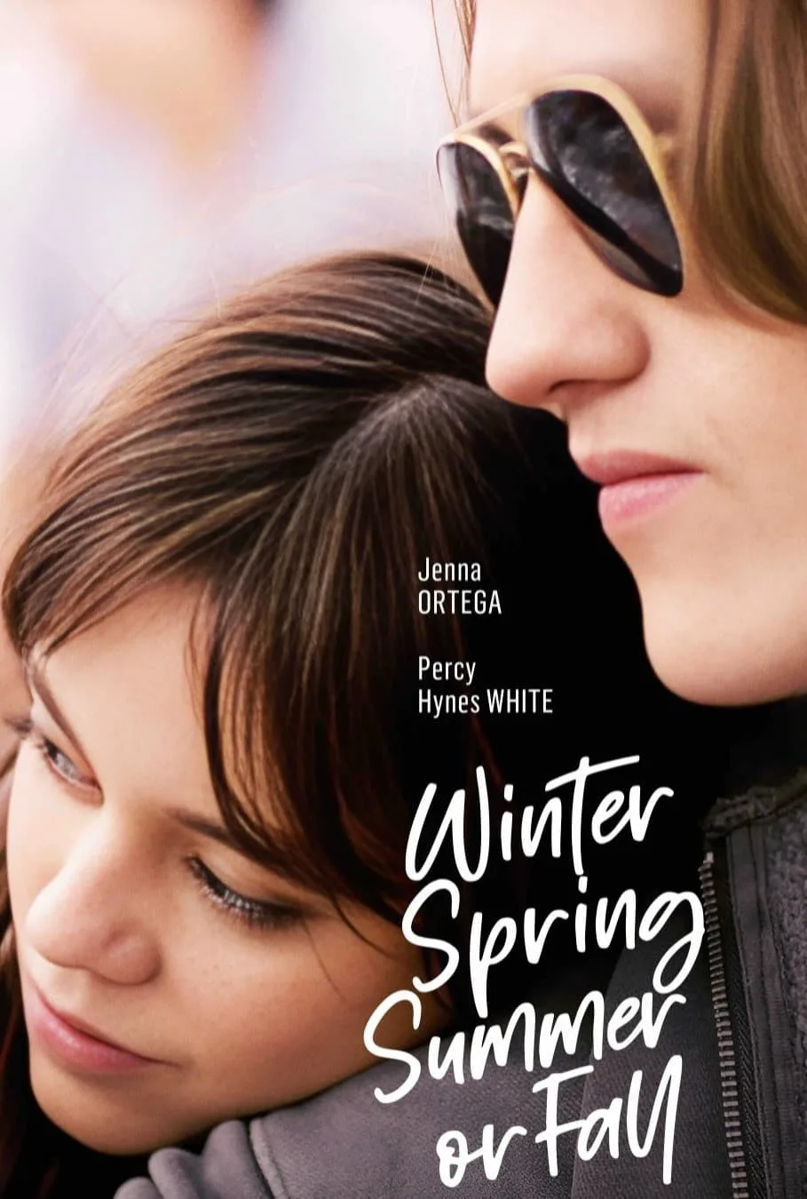 پوستر Winter Spring Summer or Fall